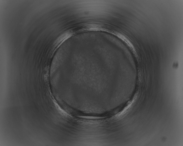 X0000095510801200801041159
