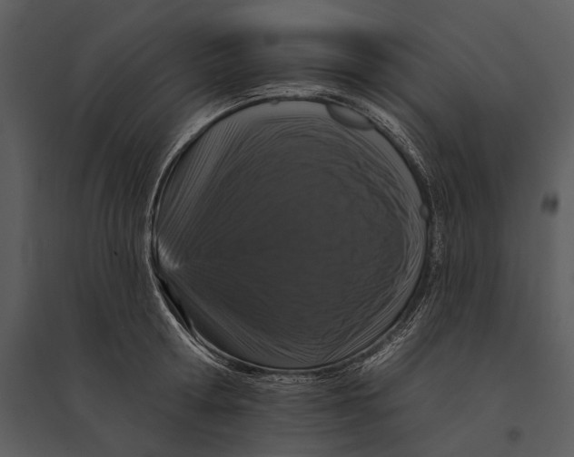 X0000095510802200801041159