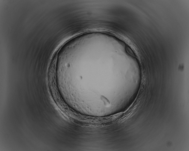 X0000095510803200801041159