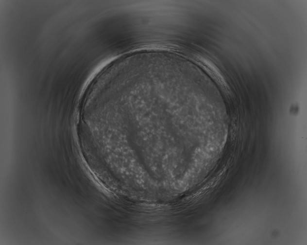 X0000095510804200801041159