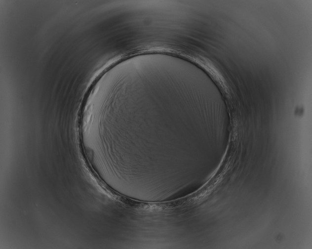 X0000095510806200801041159
