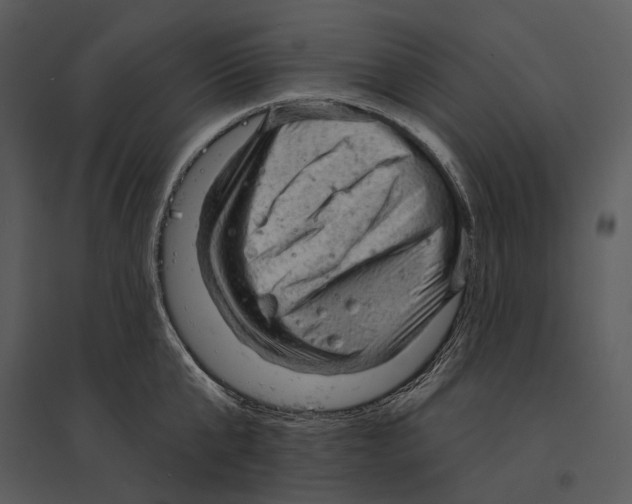 X0000095510807200801041159