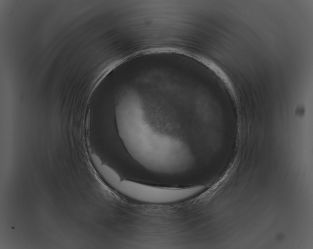 X0000095510809200801041159