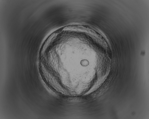X0000095510811200801041159