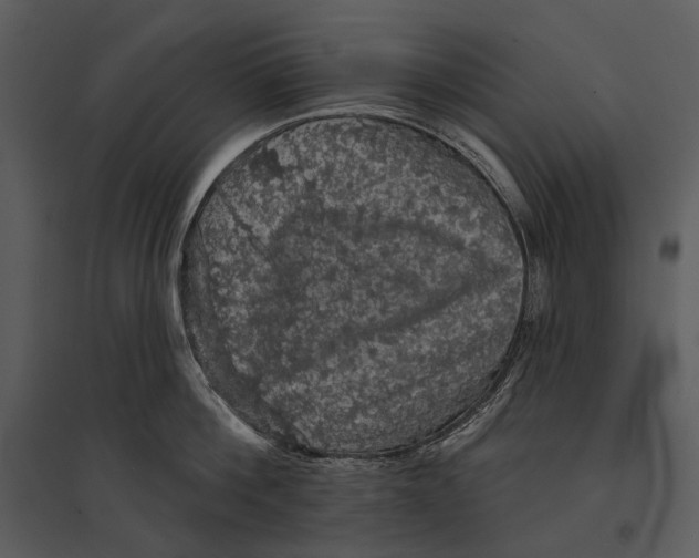 X0000095510812200801041159