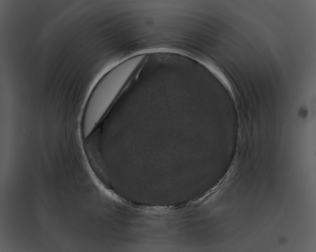 X0000095510813200801041159