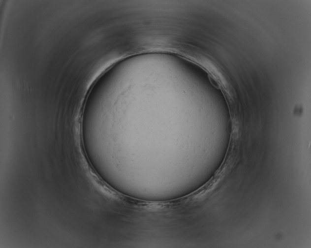 X0000095510814200801041158