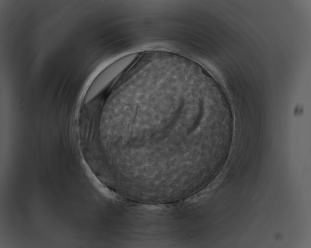 X0000095510816200801041158