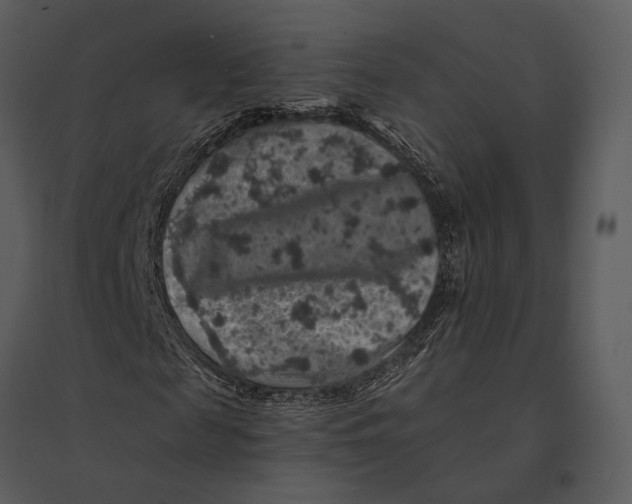 X0000095510817200801041158