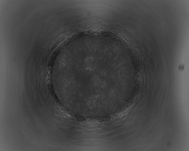 X0000095510818200801041158