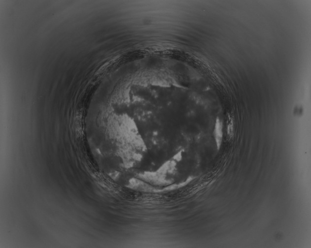 X0000095510819200801041158
