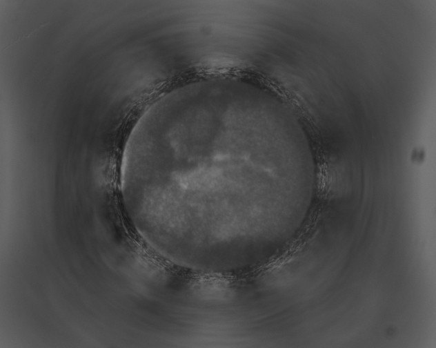 X0000095510820200801041158