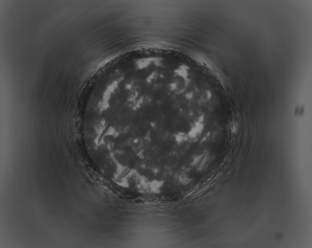 X0000095510822200801041158