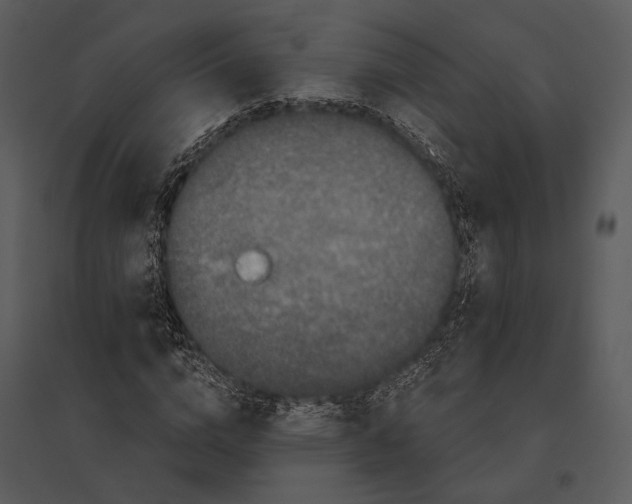 X0000095510824200801041158