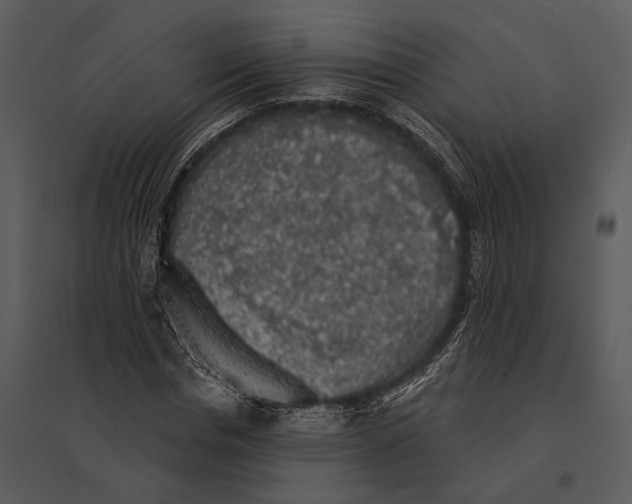 X0000095510826200801041158