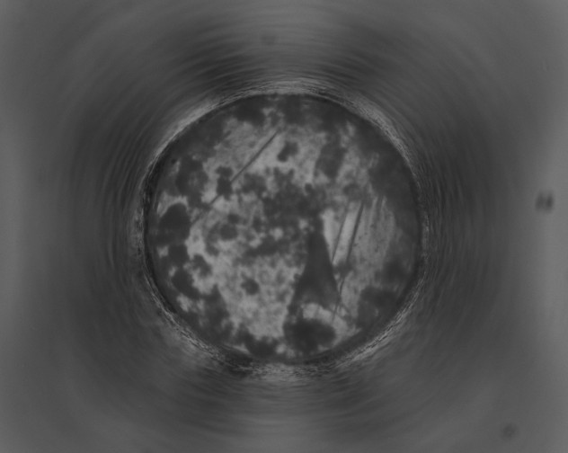 X0000095510827200801041158