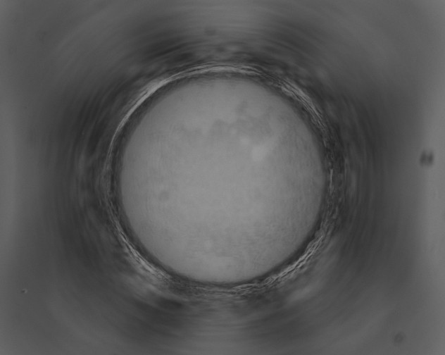 X0000095510828200801041158