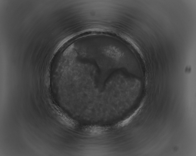 X0000095510829200801041158
