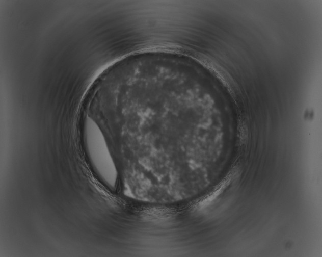 X0000095510830200801041158
