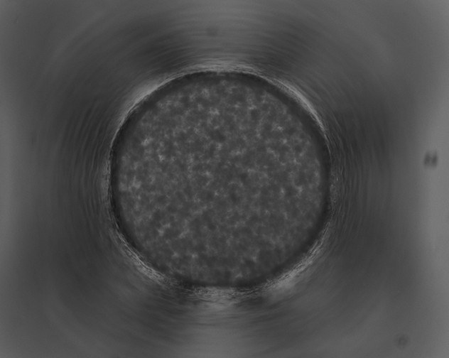 X0000095510831200801041158