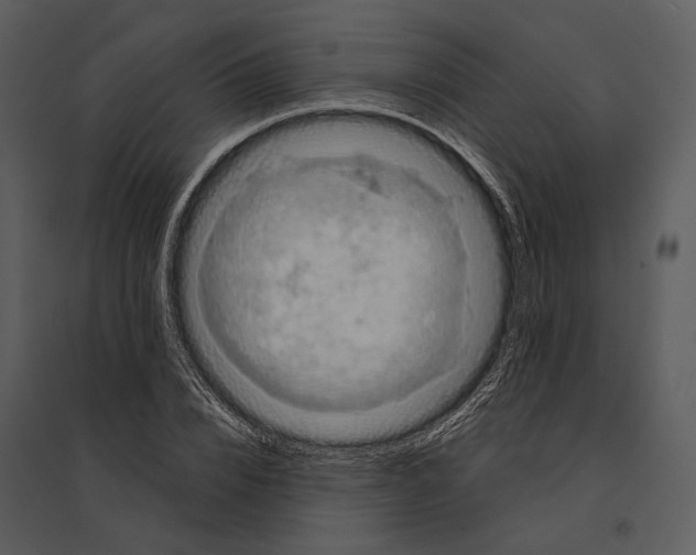 X0000095510832200801041158