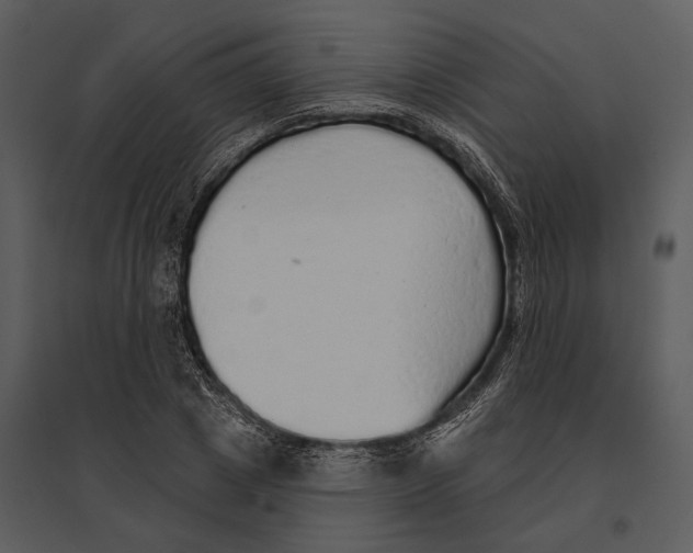 X0000095510833200801041158