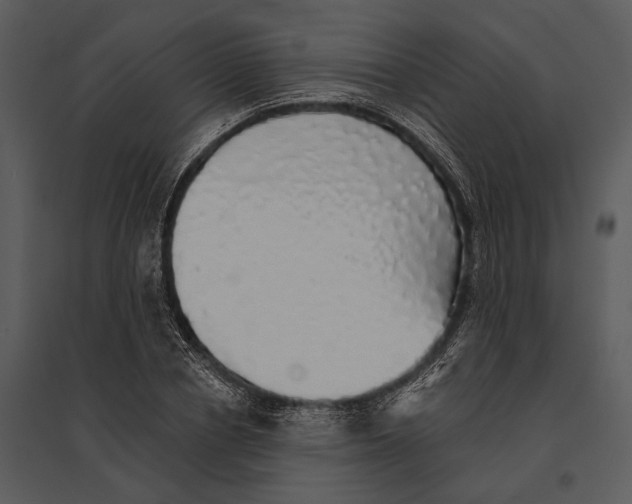X0000095510834200801041158