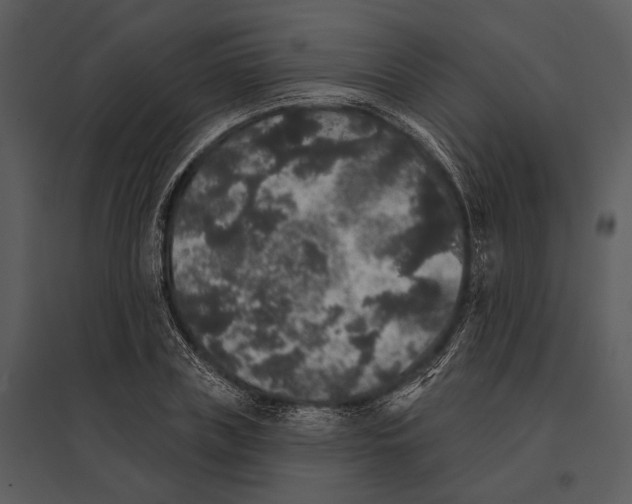 X0000095510835200801041158