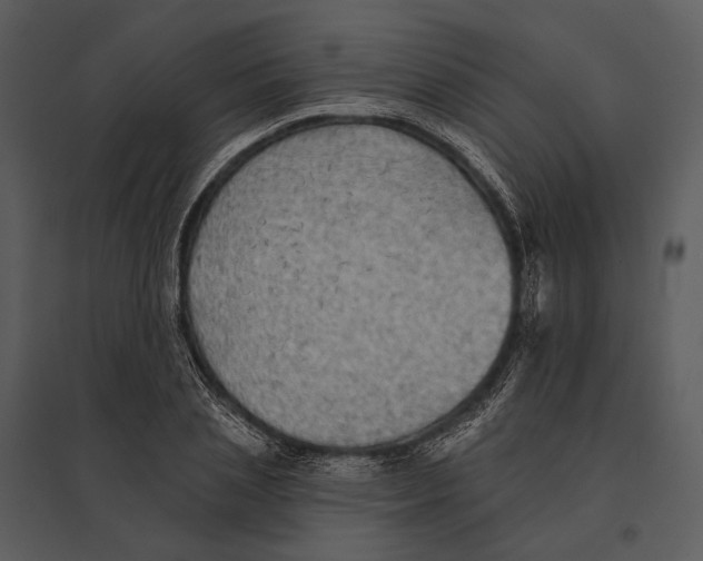 X0000095510837200801041158