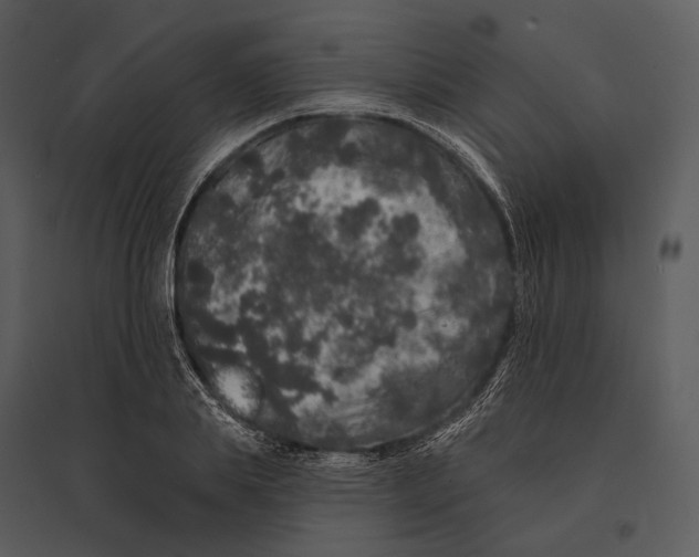 X0000095510839200801041158
