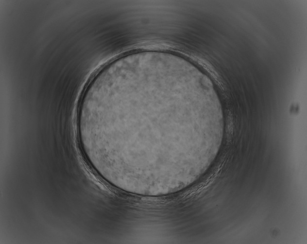 X0000095510840200801041158