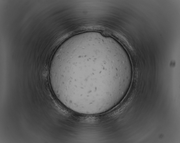 X0000095510841200801041158