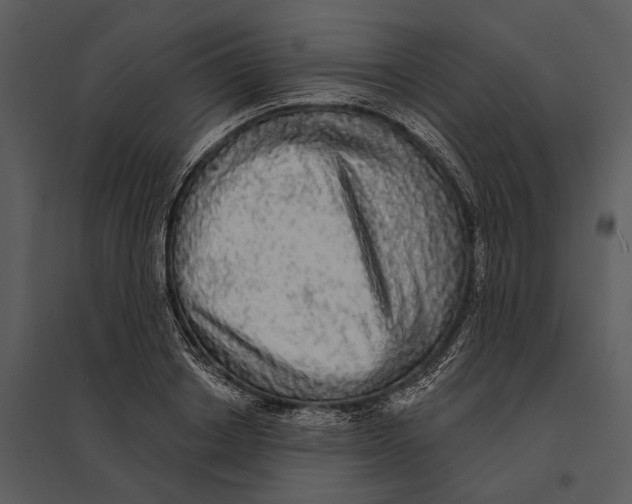 X0000095510842200801041158