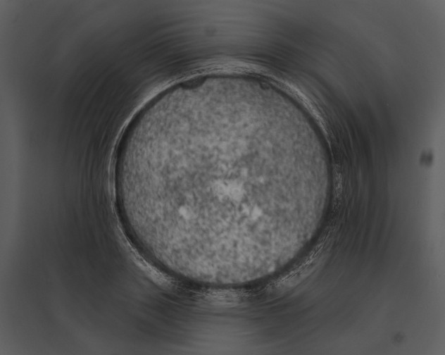 X0000095510843200801041158