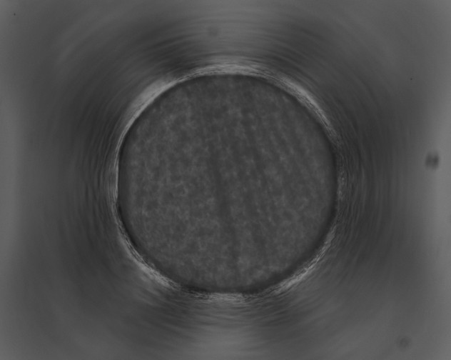 X0000095510844200801041158