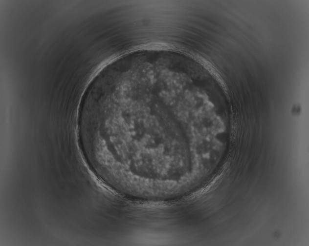 X0000095510845200801041158