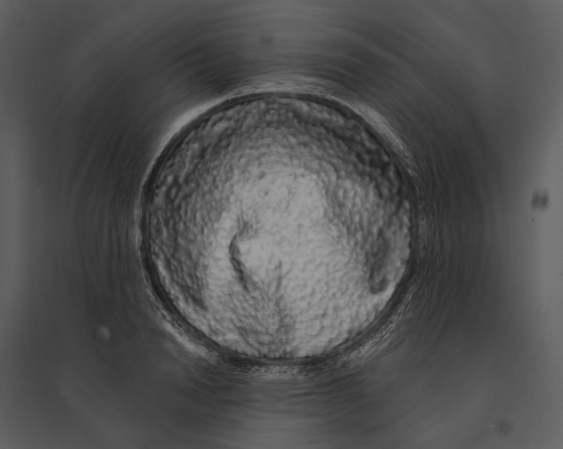 X0000095510846200801041158