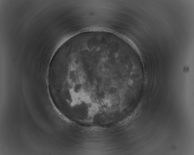 X0000095510847200801041158