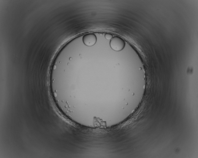 X0000095510848200801041158