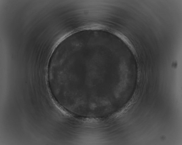 X0000095510850200801041158