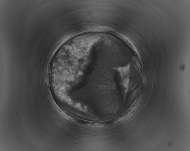 X0000095510851200801041158