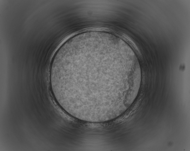 X0000095510852200801041158