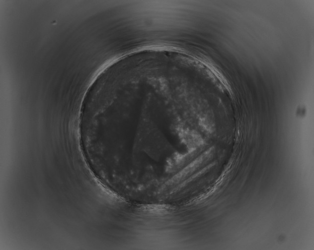 X0000095510853200801041158