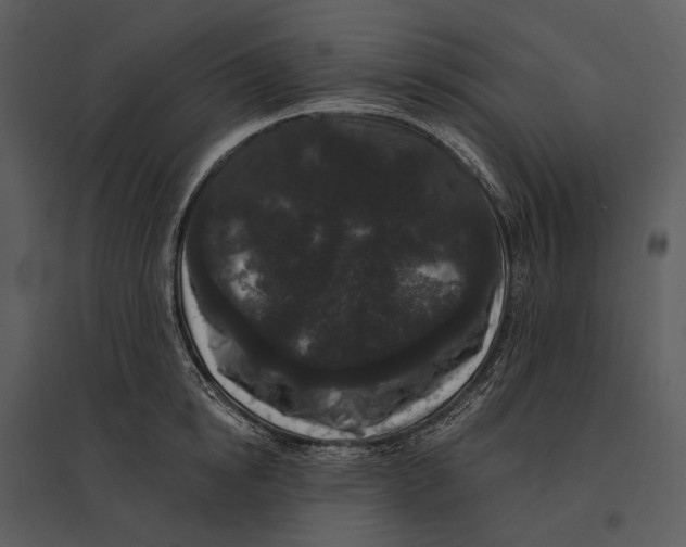 X0000095510854200801041158