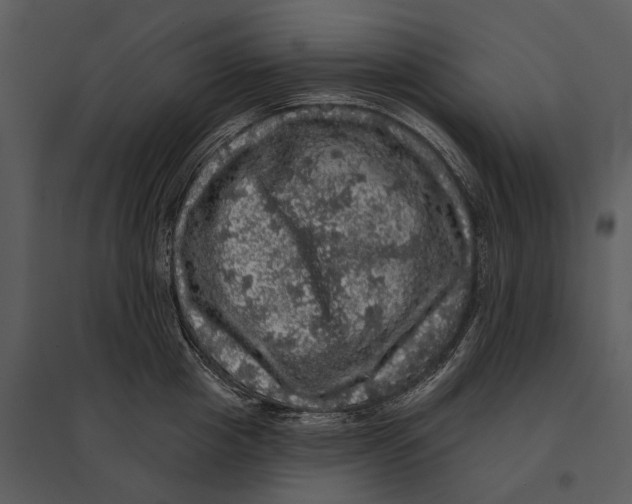 X0000095510857200801041158