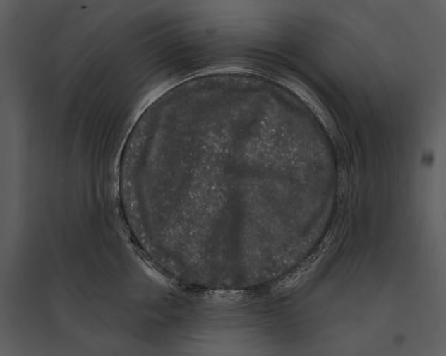 X0000095510858200801041158