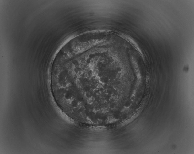 X0000095510859200801041158