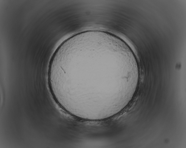 X0000095510861200801041158