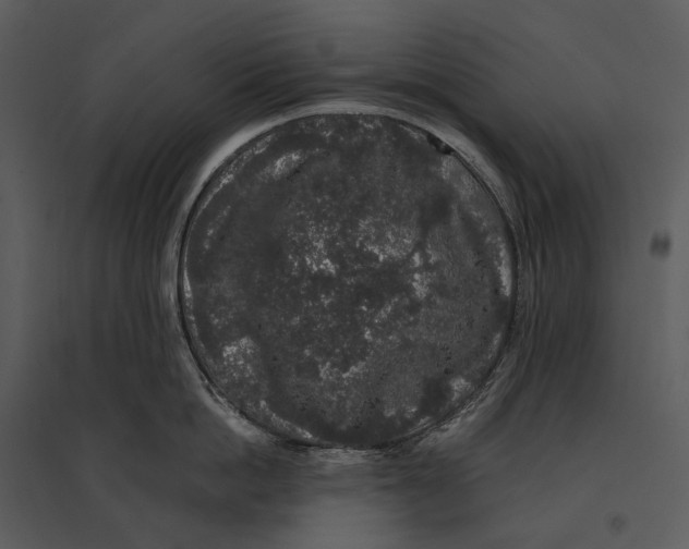 X0000095510862200801041158