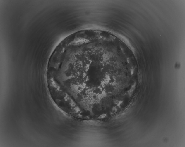 X0000095510863200801041158